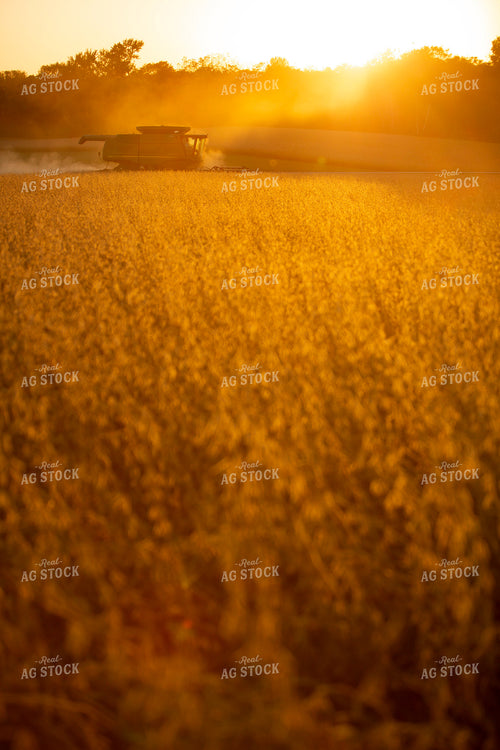 Harvest 1766