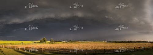 Storm Over Barley Field 138081