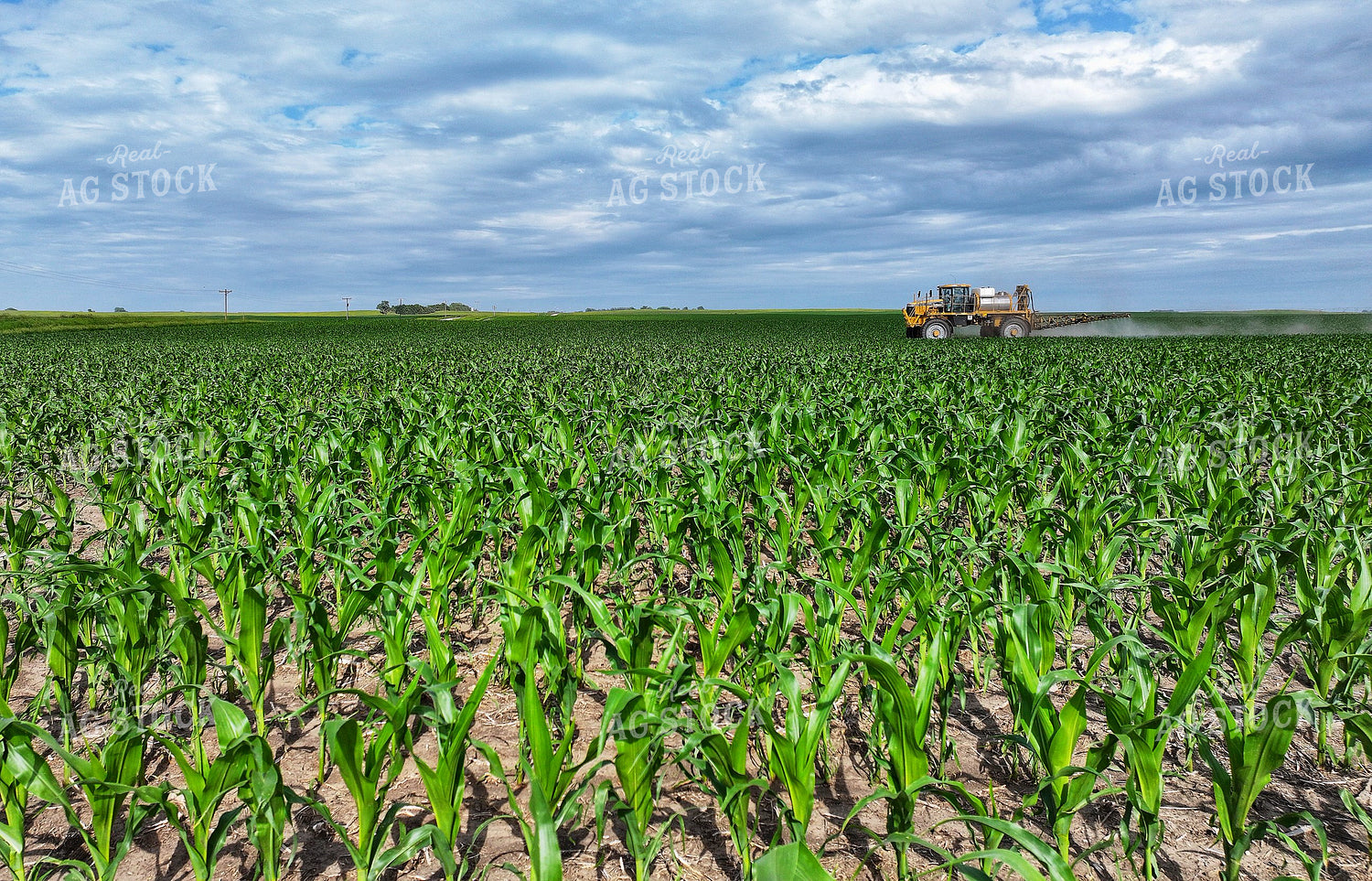 Spraying Corn 141303
