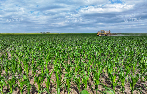 Spraying Corn 141303
