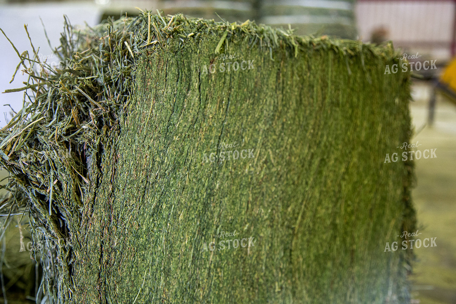 Up Close Hay Bale 130021