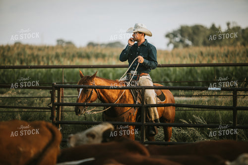 Rancher Near Cattle Pasture 6485