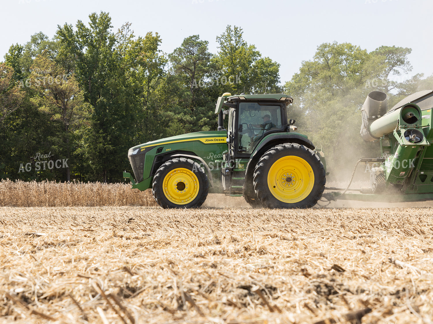 Soybean Harvest 79833