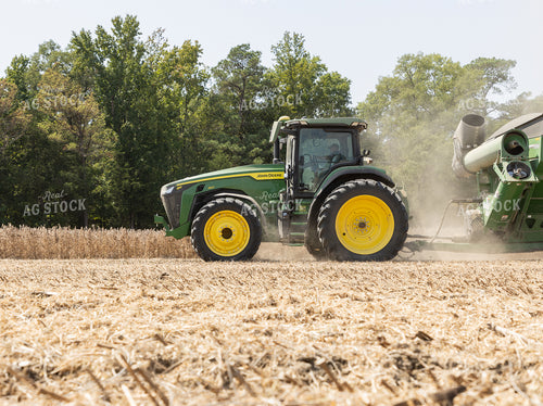 Soybean Harvest 79833