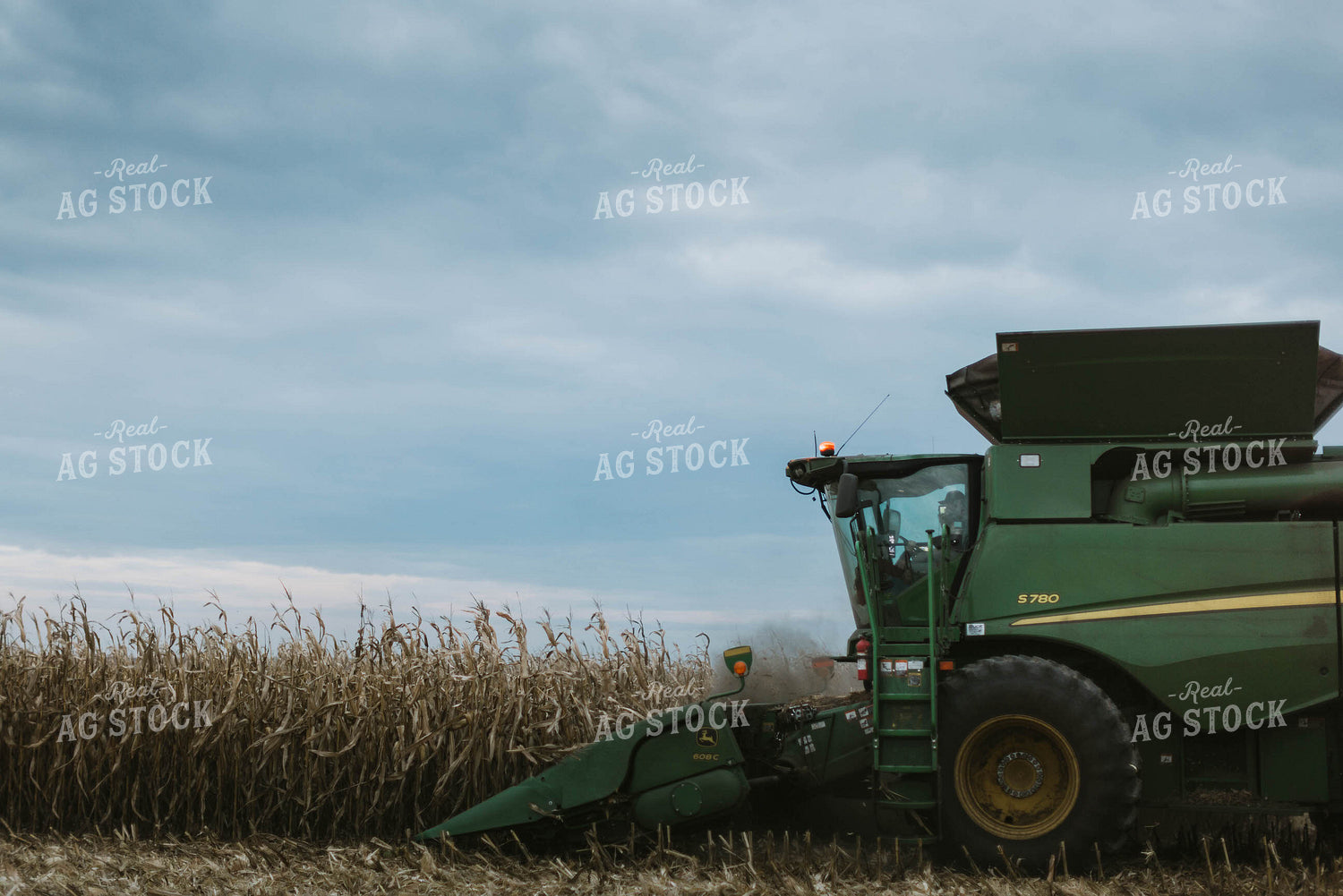 Corn Harvest 8631