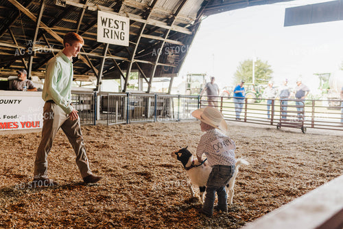 Farm Kid Showing Goat 115005