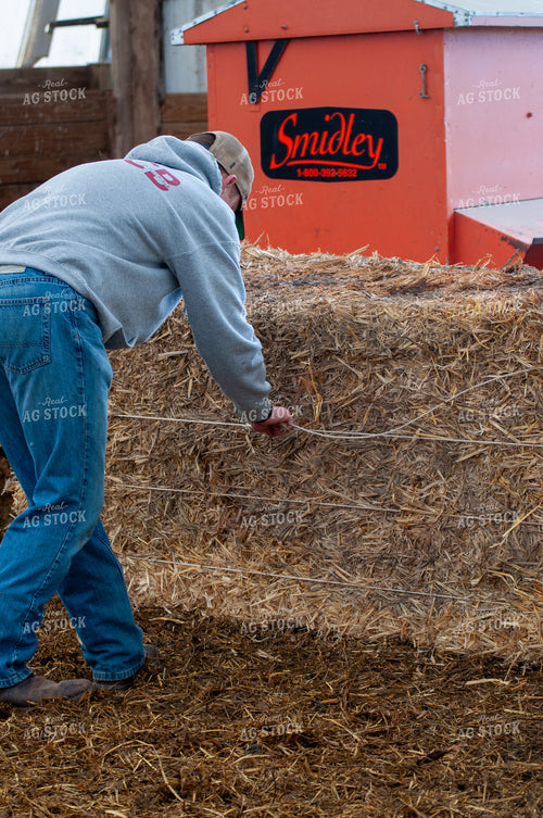 Farmer Putting Down Hay 103093