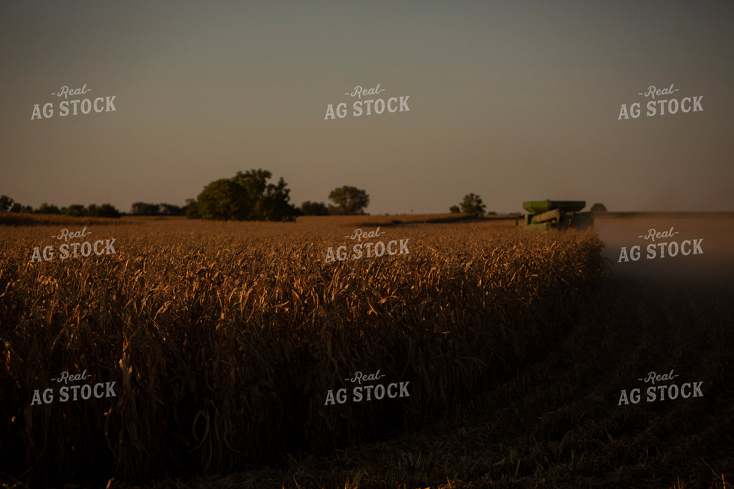 Harvest 2503