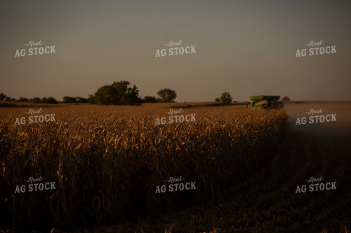 Harvest 2503