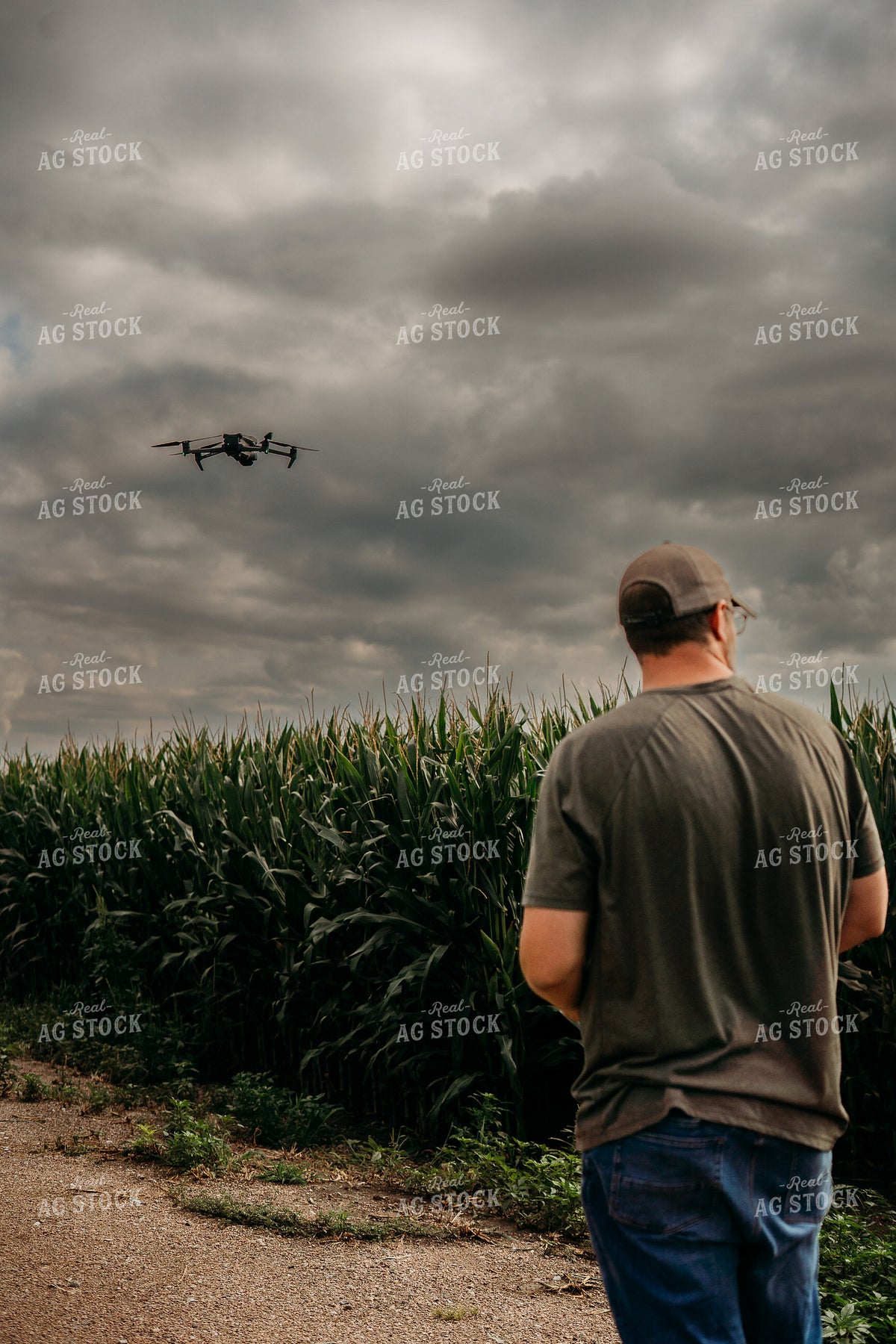 Scouting Fields With Drone 196347