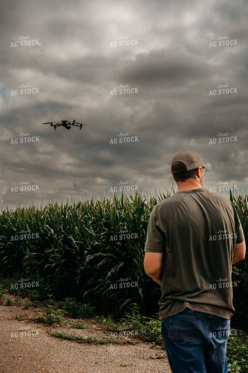 Scouting Fields With Drone 196347