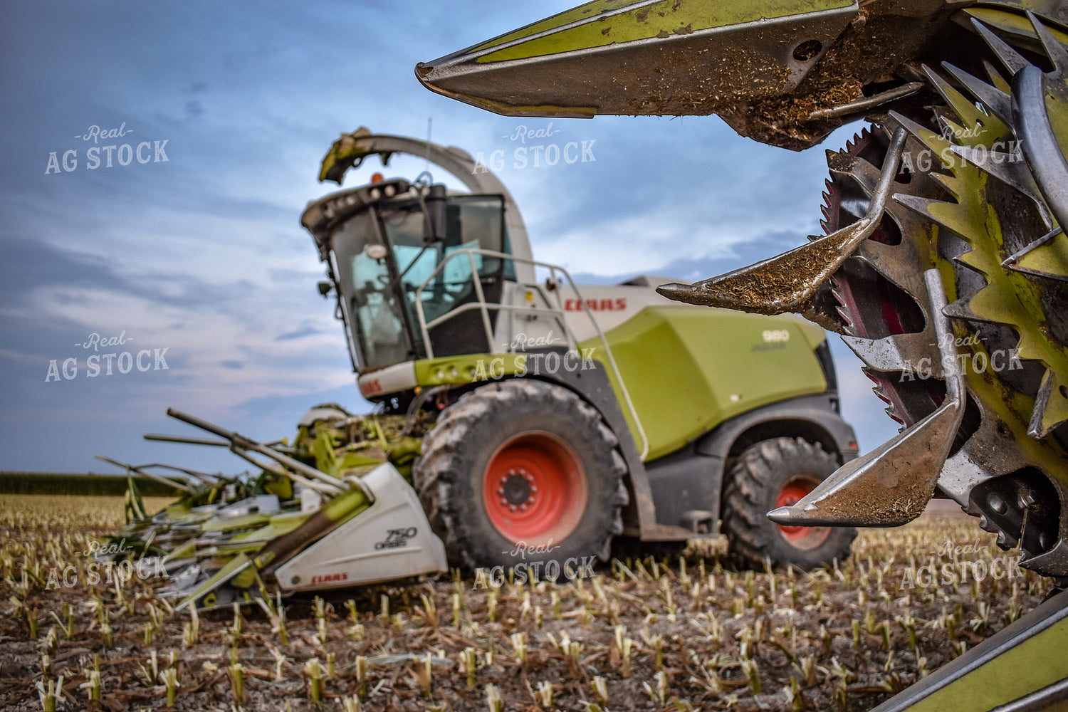 Silage Harvester 56215