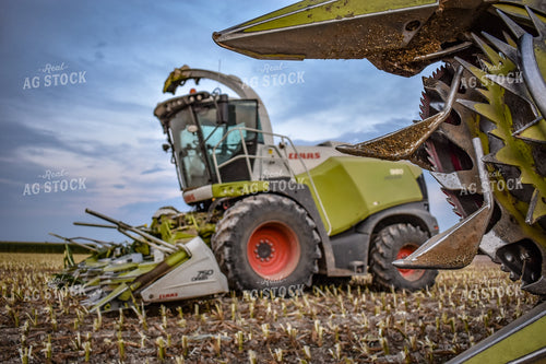 Silage Harvester 56215