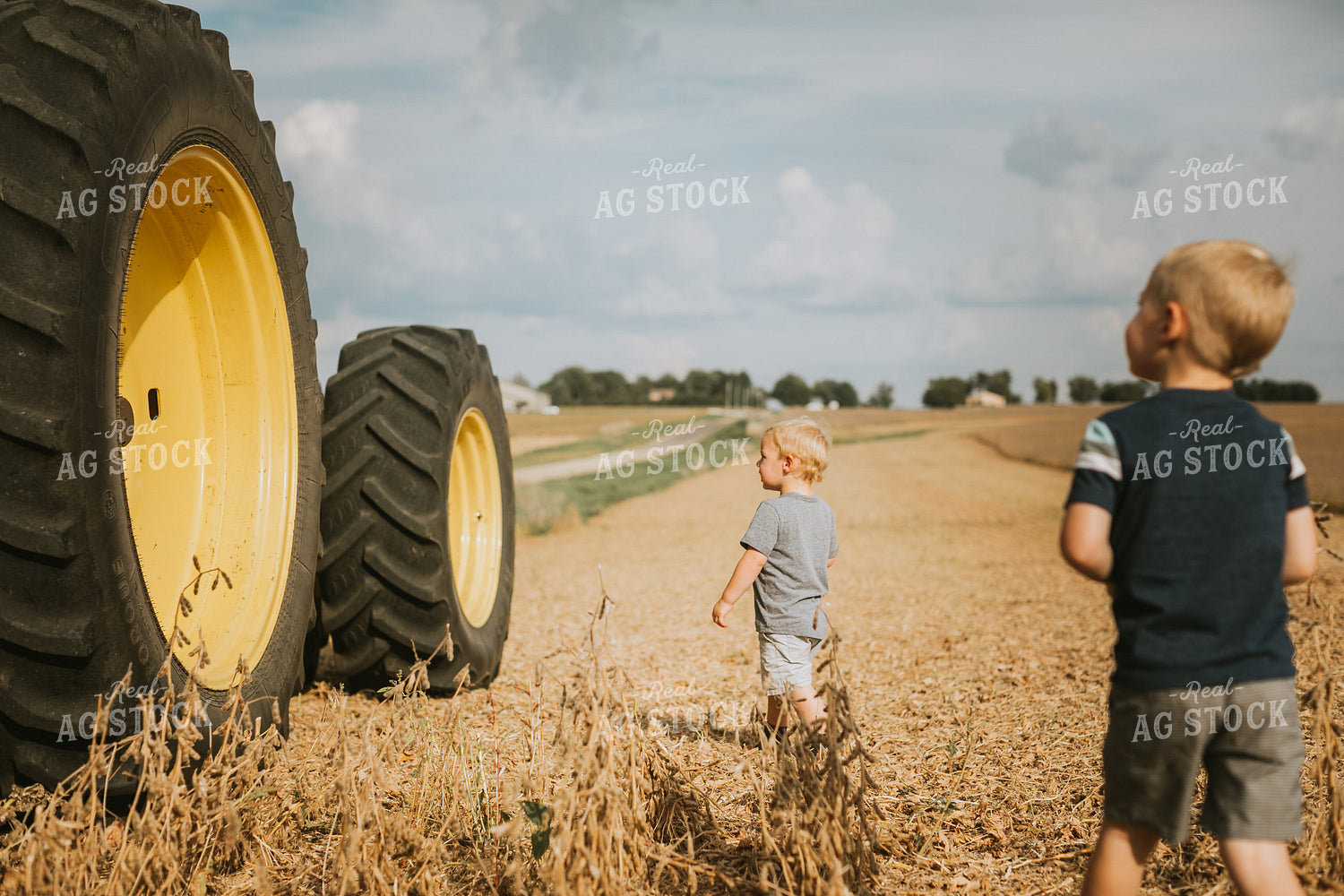 Farm Kids and Tractor in Soybean Field 5237