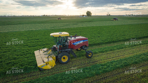Cutting Alfalfa Hay Drone 56338