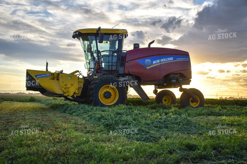 Cutting Alfalfa Hay  56343