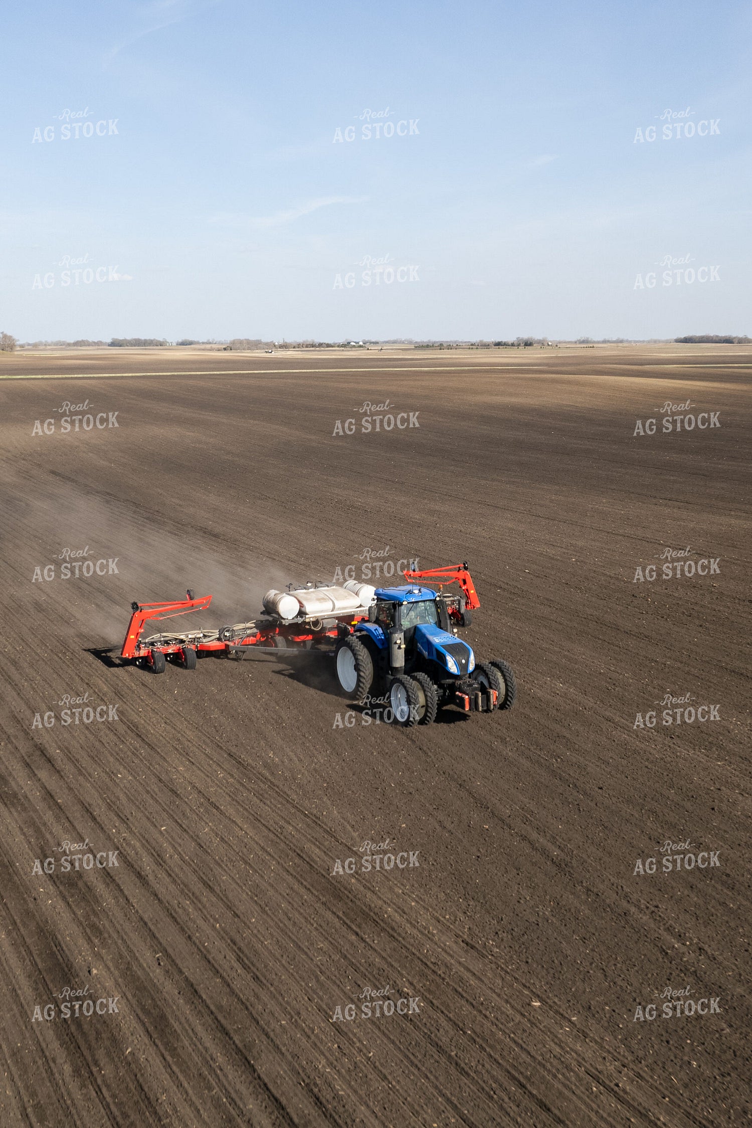 Planting 255013