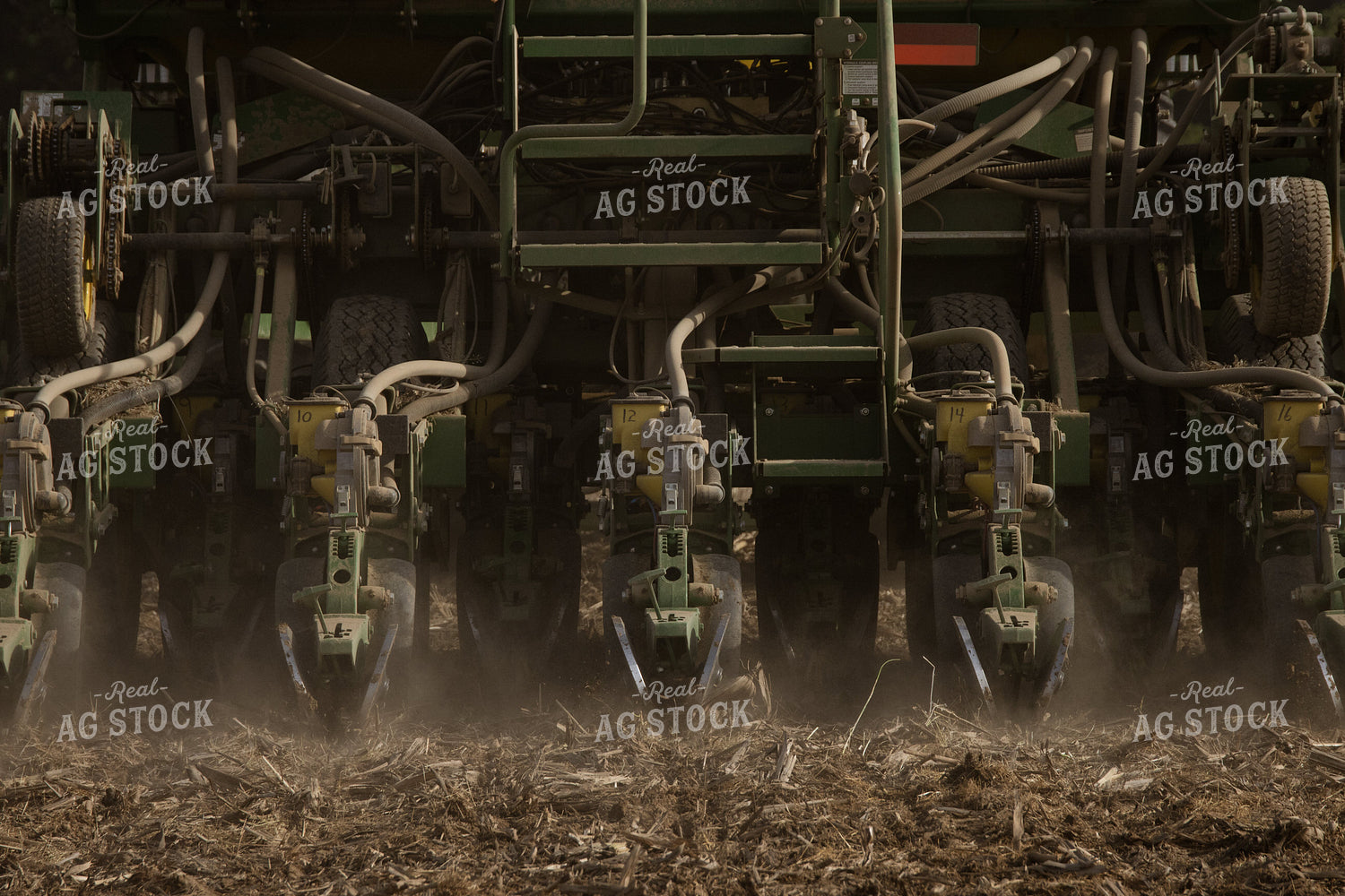 Planting on Sunny Day 52124
