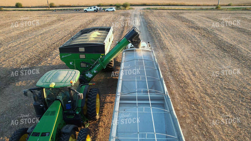 Unloading Grain Cart into Semi 65914