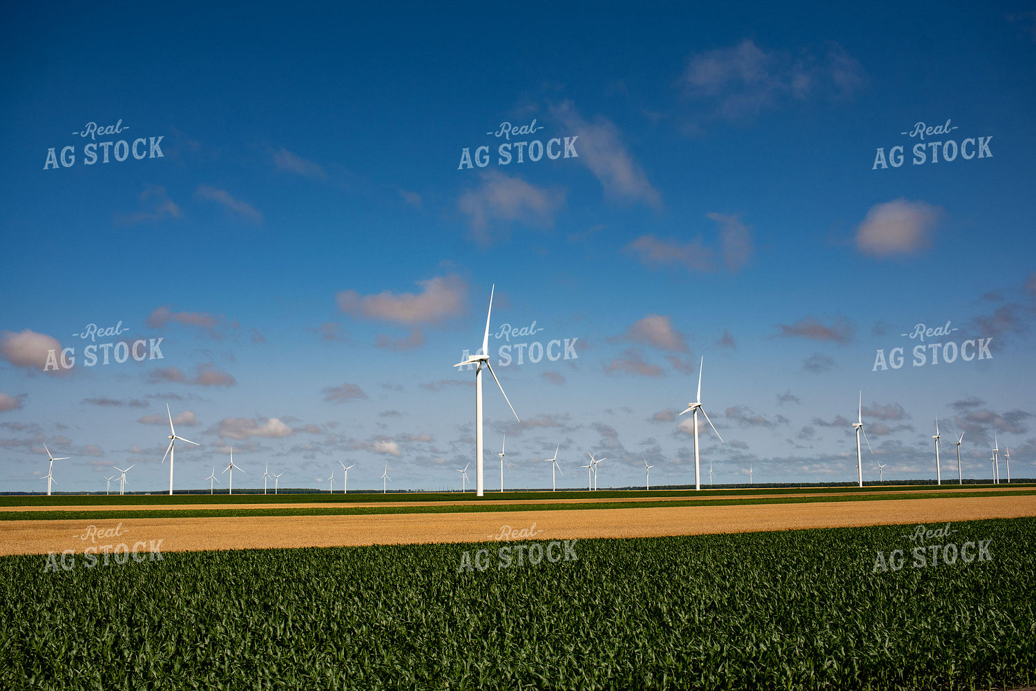 Wind Turbines Amongst Corn and Wheat Fields 136076
