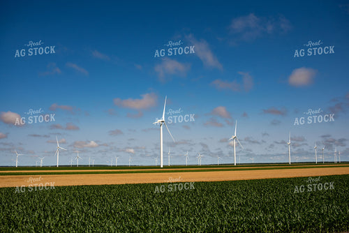 Wind Turbines Amongst Corn and Wheat Fields 136076