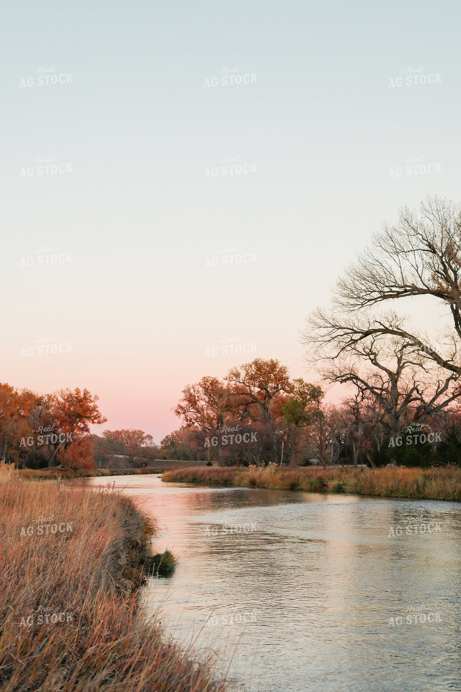 Rural Landscape 123007