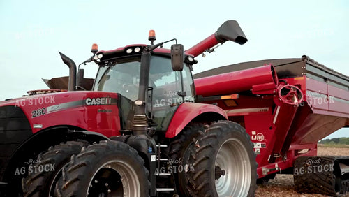 Combine Unloading Corn into an Auger Wagon - 418