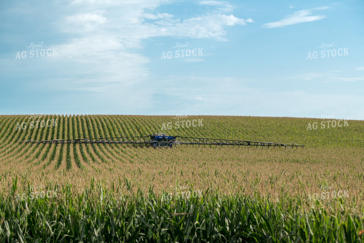 Spraying Corn Field 76284
