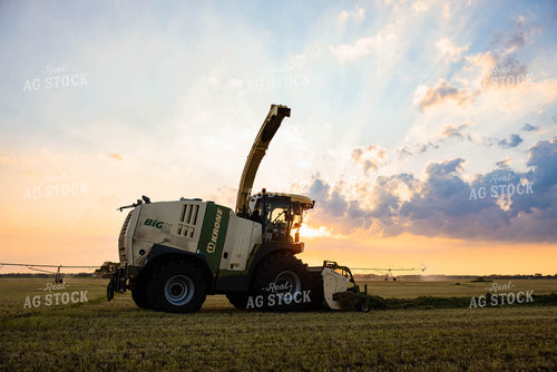 Chopping Silage 152126