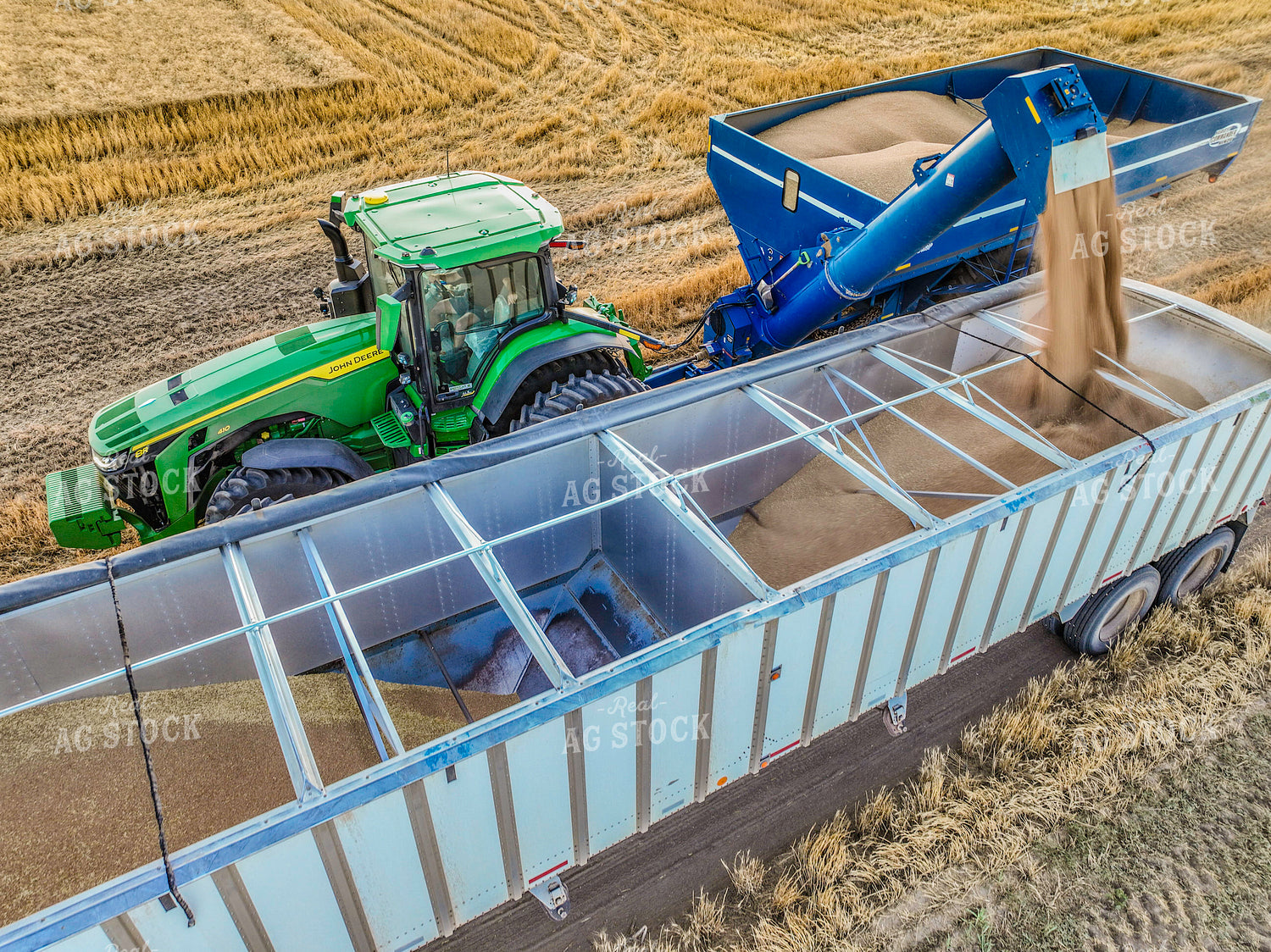 Unloading Wheat into Semi Trailer 199009