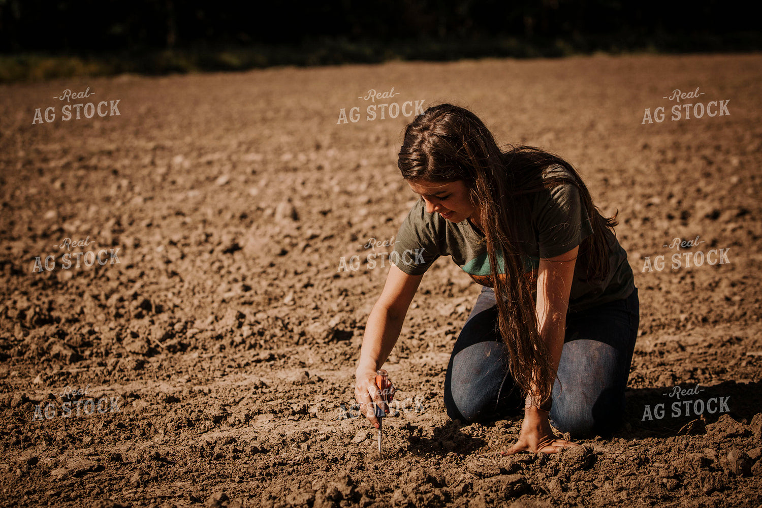 Planting 2765