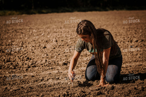 Planting 2765