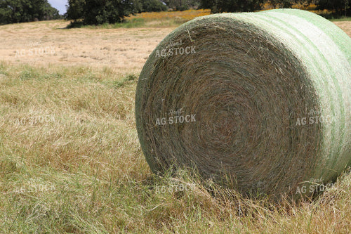 Hay Bale 102098