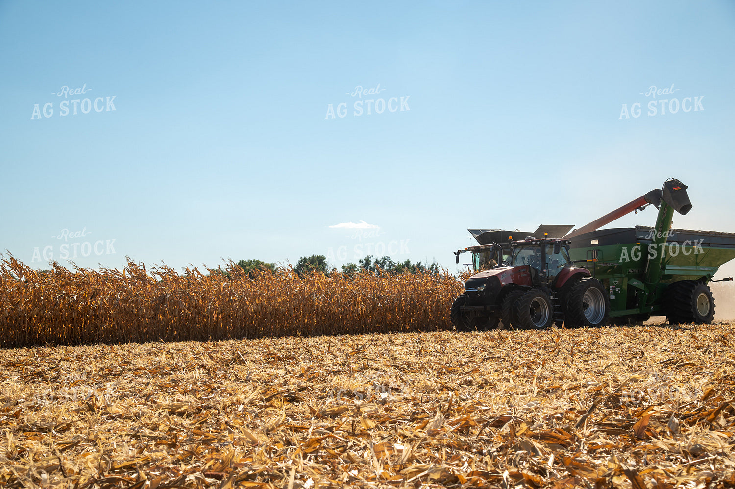 Combine and Grain Cart Harvesting Corn on Sunny Day 25920