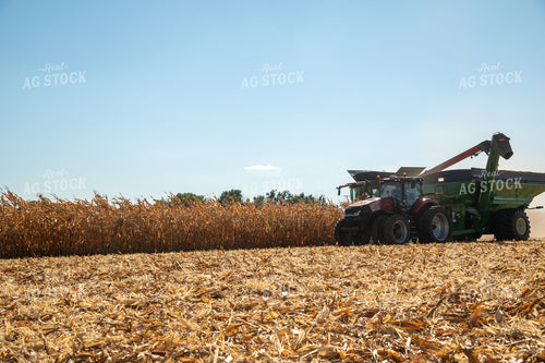 Combine and Grain Cart Harvesting Corn on Sunny Day 25920