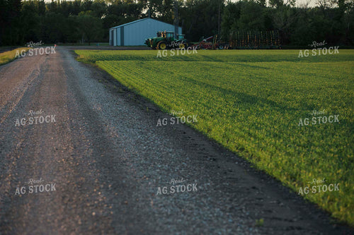Green Wheat Field with Tractor 5434