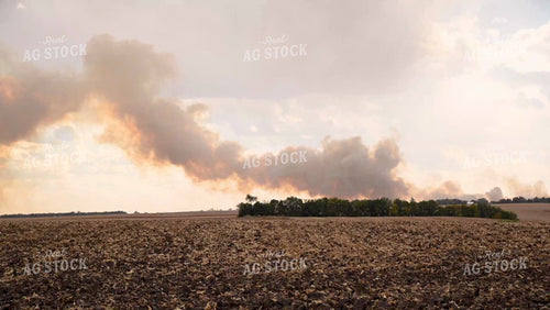 Field Fire Smoke - 552