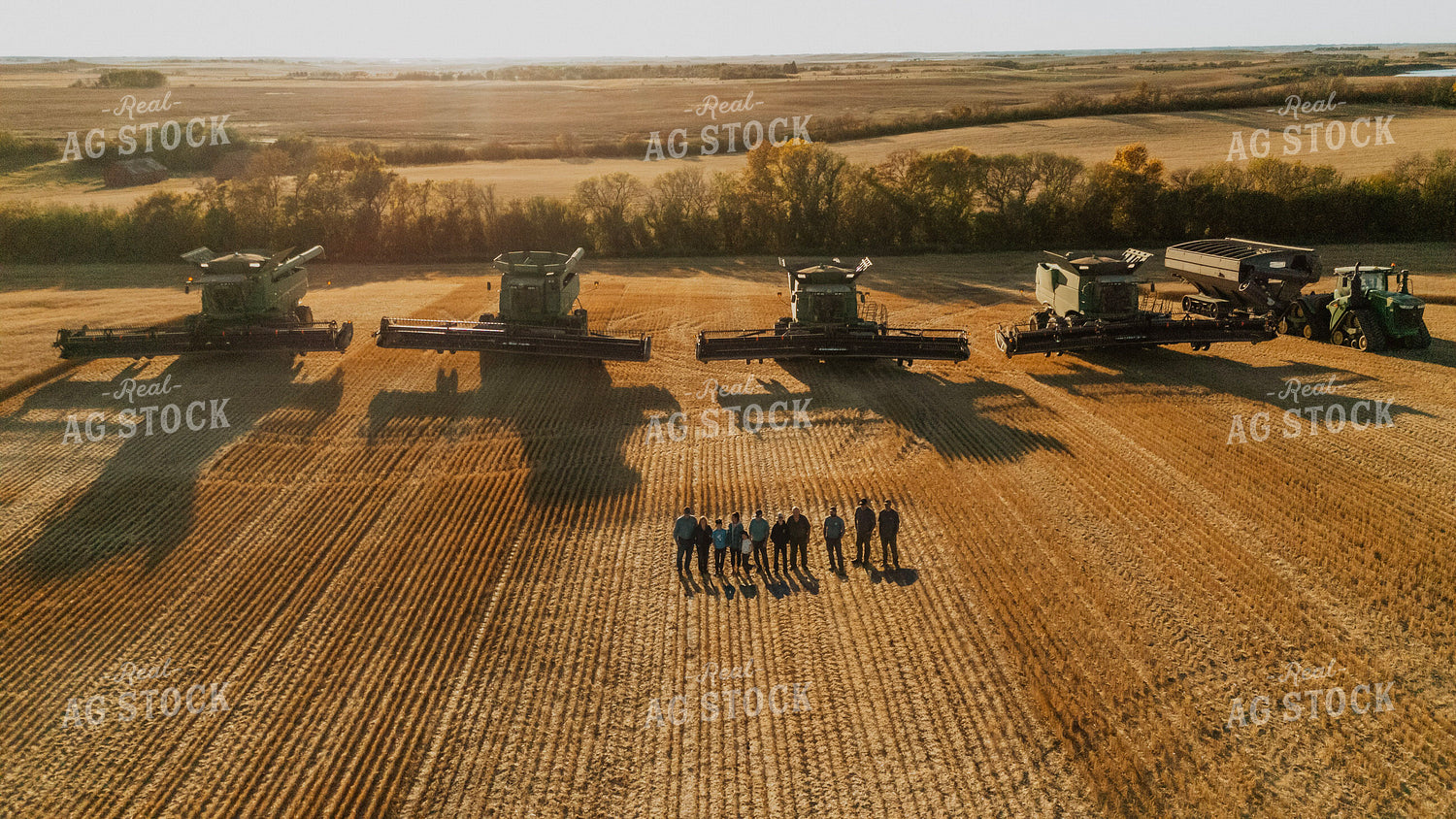 Farmers Standing in Field by Combines 187300