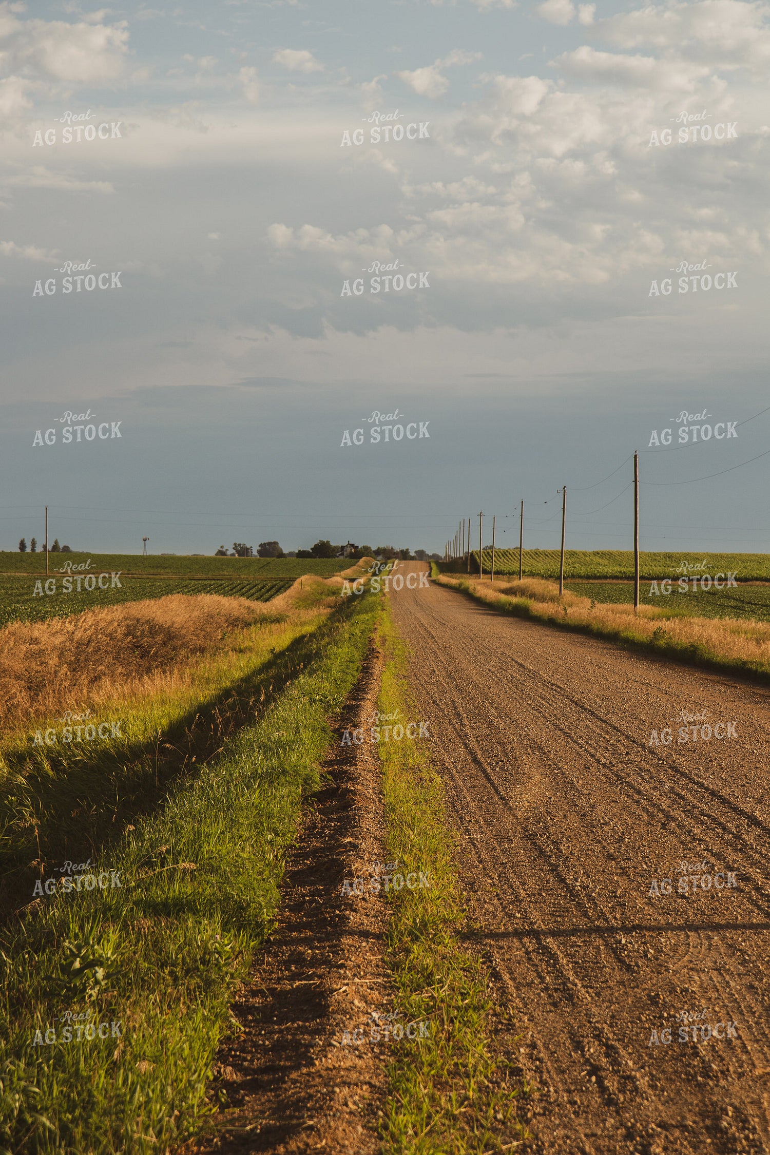 Rural Road 67824
