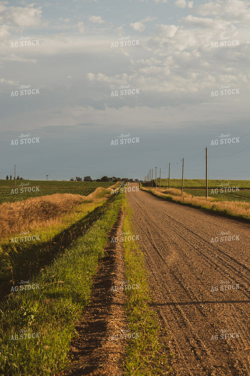 Rural Road 67824