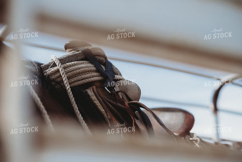 Rope Looped Around Saddle 54015