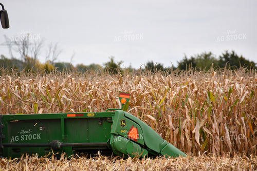 Corn Harvest 84213