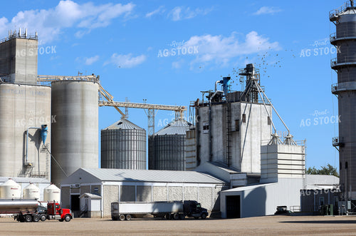 Grain Elevator 141754
