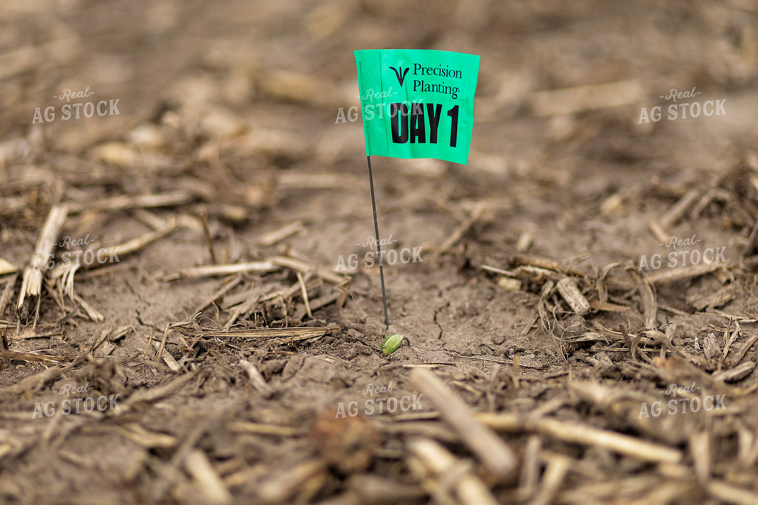 Precision Planting Emergence Flags 93318