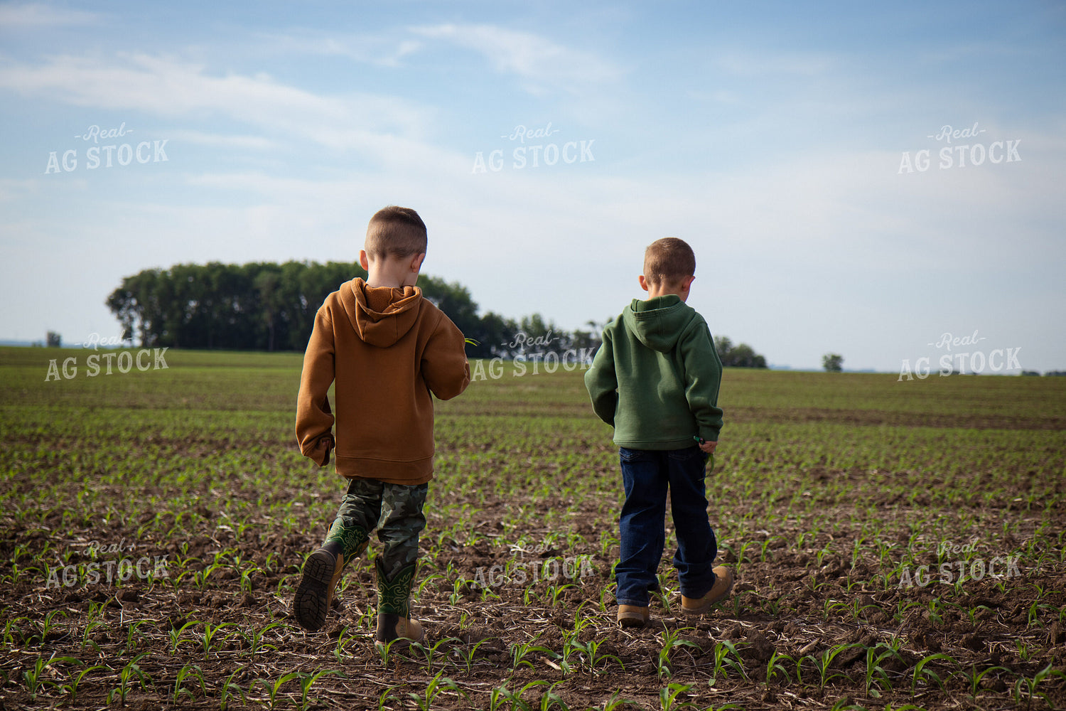 Farm Kids Checking Crops 268290