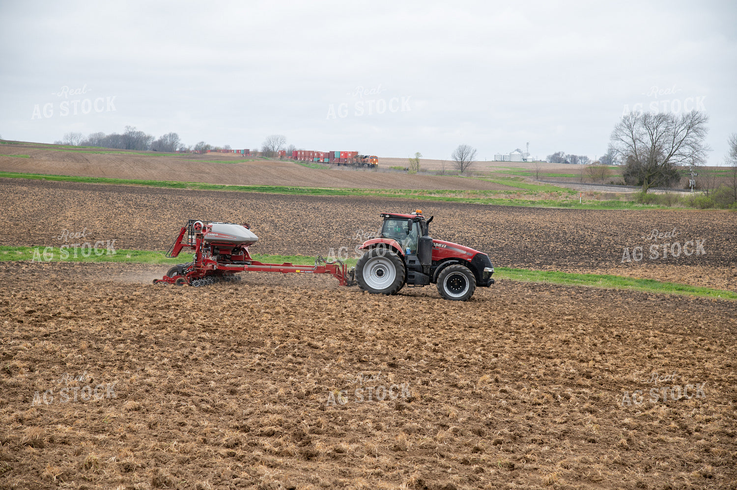 Planting into Tilled Cover Crops 25124