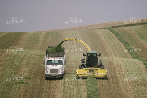 Harvesting Hay Silage 70075