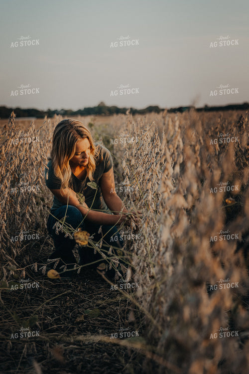 Female Agronomist Checking Soybeans 9257