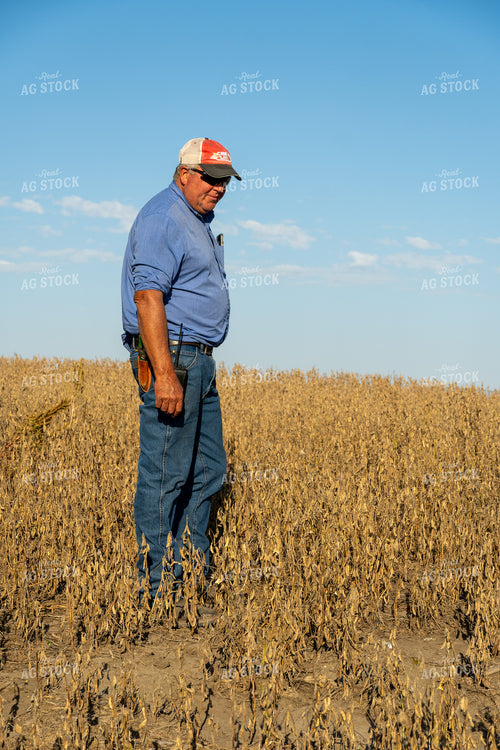 Farmer in Hail Damaged Soybean Field 65078