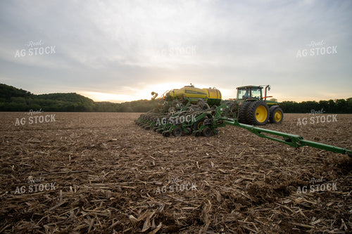 Planting at Sunset 52147